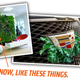 Illustration for article titled My Dinner With Cadillac Product People And Engineers